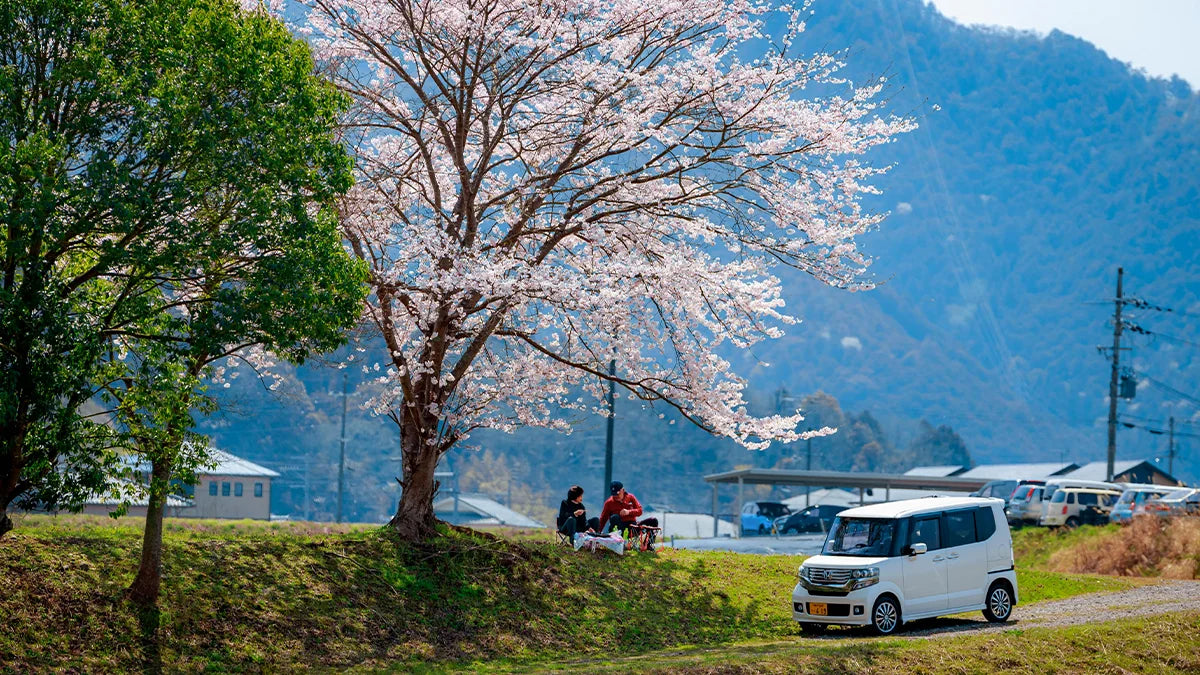 How's spring for car owners in Japan? Hanami, Asian Dust, and more fun facts!